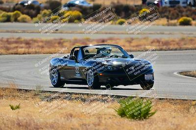 media/Nov-16-2024-Extreme Speed (Sat) [[6587d07cc4]]/Gold Group/Session 2 (Turns 3 and 5)/